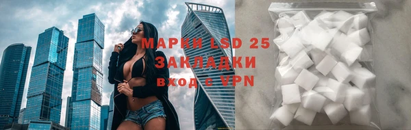 прущие грибы Богородицк