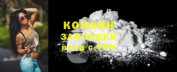 МДПВ Богородск