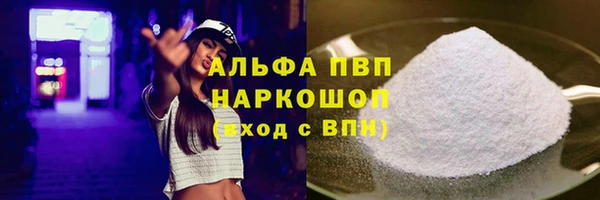прущие грибы Богородицк