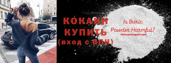 прущие грибы Богородицк
