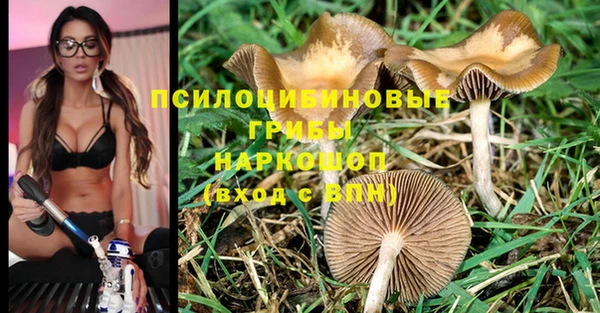 МДПВ Богородск