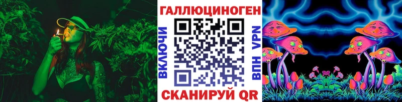 Псилоцибиновые грибы Cubensis  цены   Новосиль 