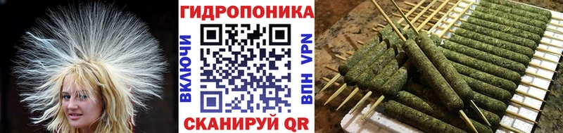 Бошки Шишки индика  дарнет шоп  Новосиль 